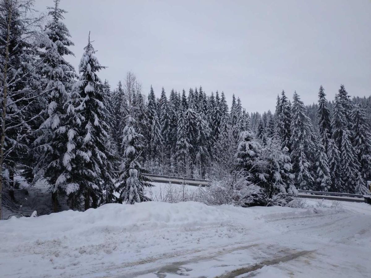 Садиба Mishel Yablunytsya Esterno foto