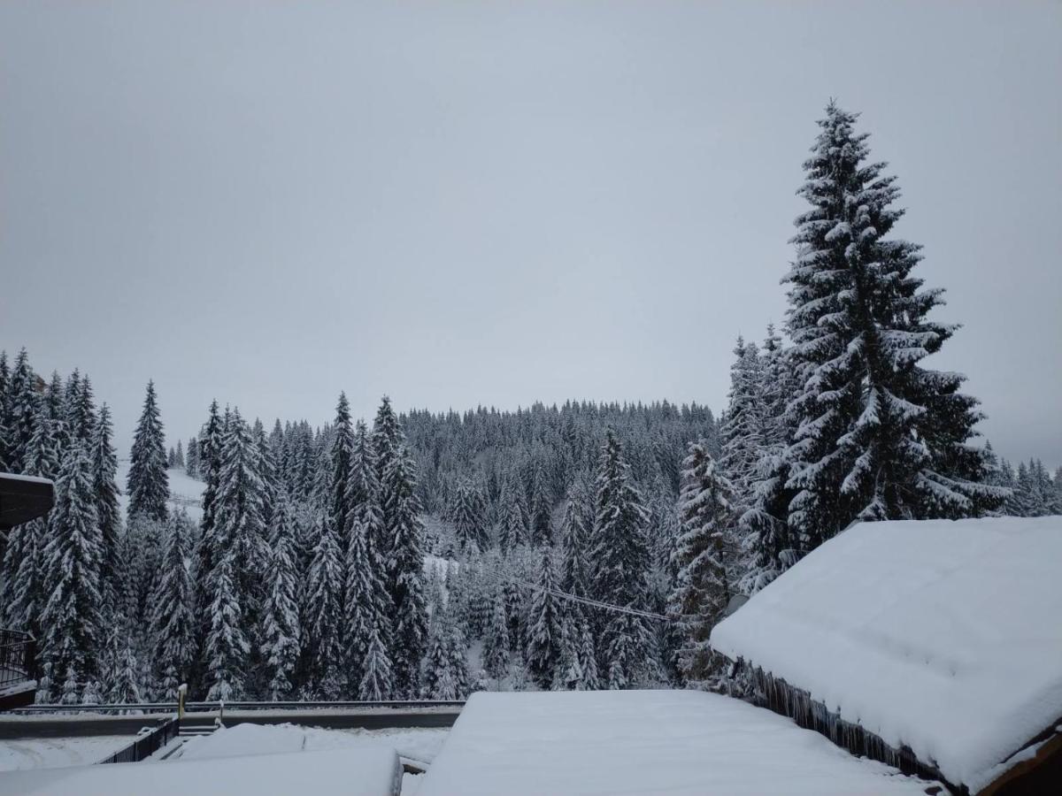 Садиба Mishel Yablunytsya Esterno foto